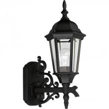 Progress P5681-31 - Welbourne One-Light Small Wall Lantern