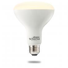 Bulbrite 196110 - SL8WBR30/W/FR/1P