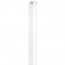 Satco Products Inc. S26559 - 14 Watt; T12 Preheat Fluorescent; 4100K Cool White; 80 CRI; Medium Bi Pin