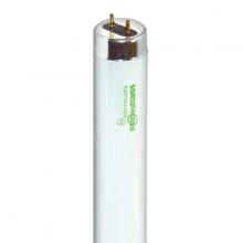 Satco Products Inc. S7929 - 40 Watt; T10; Fluorescent; 4100K Cool White; 84 CRI; Medium Bi Pin base