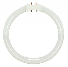 Satco Products Inc. S8155 - 22 Watt; T5; Circline Fluorescent; 3000K Warm White; 82 CRI; 2GX13 (4-Pin) base