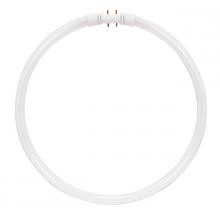 Satco Products Inc. S8161 - 55 Watt; T5; Circline Fluorescent; 3000K Warm White; 82 CRI; 2GX13 (4-Pin) base