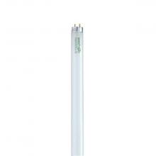 Satco Products Inc. S8443 - 32 Watt; T8; Fluorescent; 3000K Warm White; 82 CRI; Medium Bi Pin base