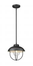 Z-Lite 590P-BK - 1 Light Outdoor Pendant