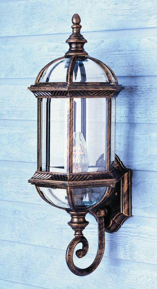 Wentworth 1-Light Atrium Style Coach Wall Lantern