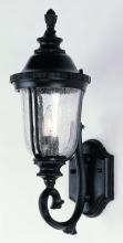 Trans Globe 4021 BG - Chessie 20-In. 1-Light Crackle Glass Armed Wall Lantern