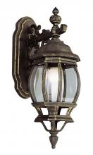 Trans Globe 4053 BK - Francisco 1-Light Outdoor Beveled Glass Coach Wall Lantern