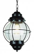 Trans Globe 69906 BK - Catalina 19" Hanging Lantern Pendant Light