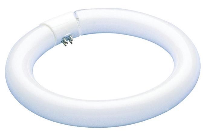 22W T9 Circular Fluorescent Cool White 4-Pin Base, Hanging Box