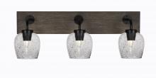 Toltec Company 1773-MBDW-4812 - Bathroom Lighting