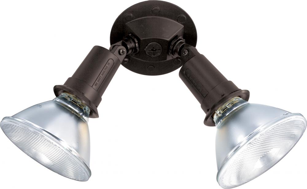 2 Light - 10" Flood Light- PAR38 with Adjustable Swivel - Bronze Finish