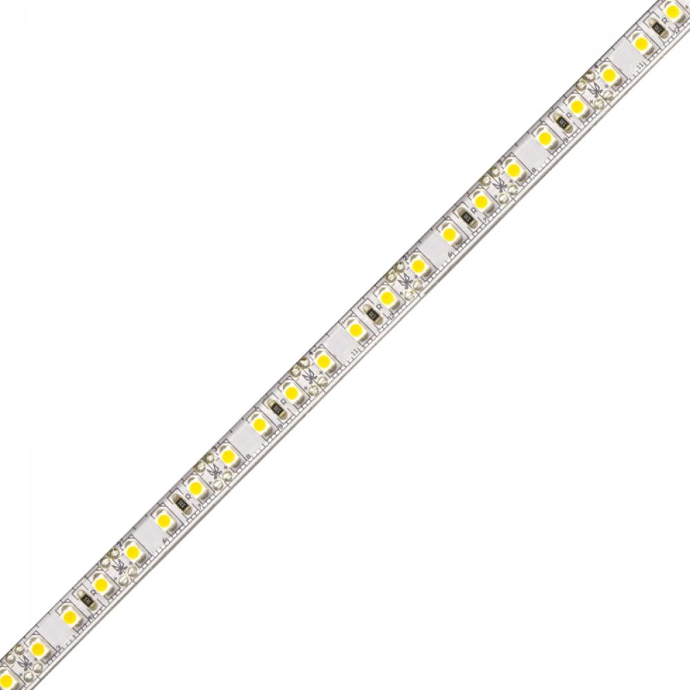 BLAZE LED Tape Light - 12V, 3000K, 80 CRI, 16.4 ft.