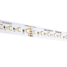 Diode Led DI-24V-VL-RGBW-100 - STRIP/TAPE LIGHT